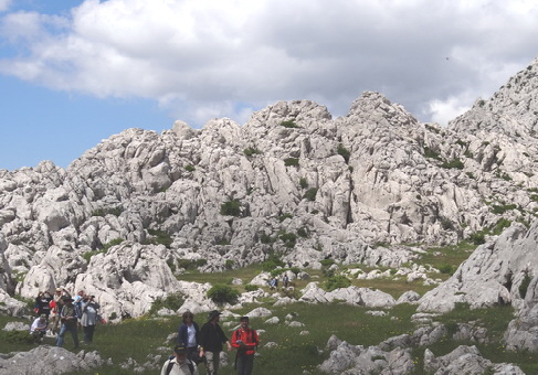 DSC04978_Bildgröße ändern DSC04978_Bildgröße ändern